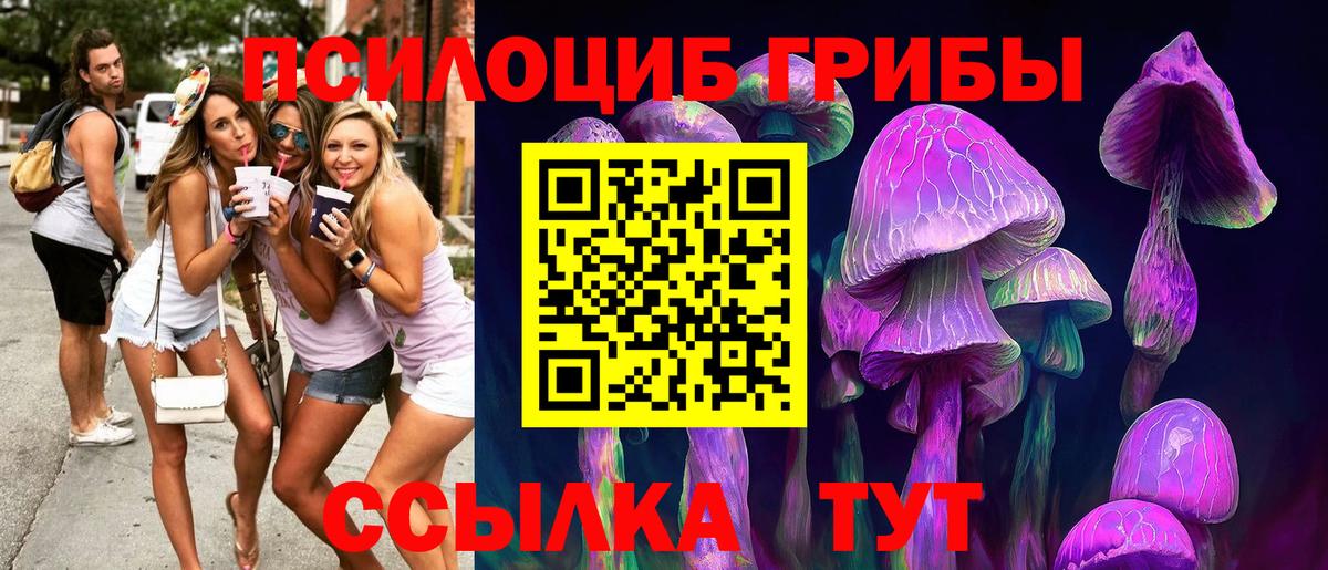 Галлюциногенные грибы Cubensis  Вход с VPN  Нововоронеж 