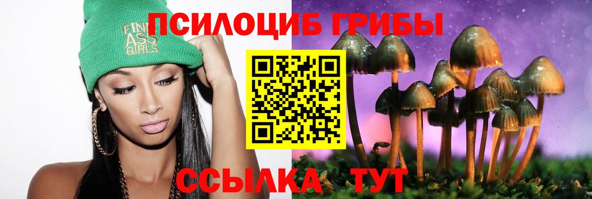 Галлюциногенные грибы Psilocybe Нововоронеж